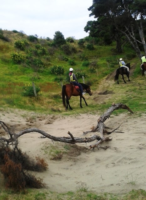 Horse Riding – South Head to Murawai Beach – Nov 2013