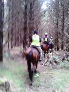 Horse riding 023