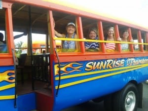 Such cool buses!