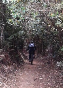 Riding through the forest tunnels.