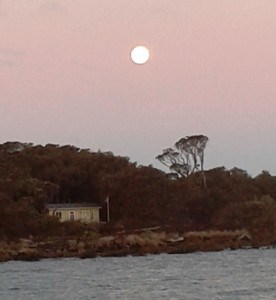 So pretty. This kayak adventure was more about the moonrise than the sunset!