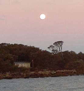 So pretty.  This kayak adventure was more about the moonrise than the sunset!