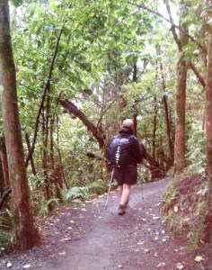 Enjoying the Ketetahi Track through the forest.