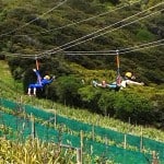 Waiheke Cycling 048