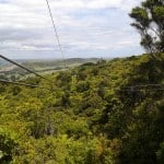 Waiheke Cycling 055