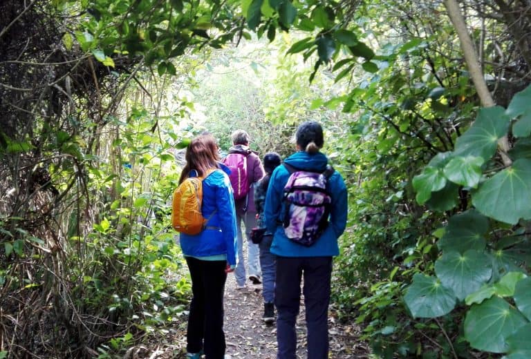 Tiritiri Matangi – July 2016