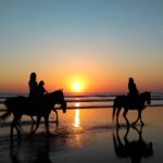 horse riding at walkworth