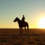 horse trek