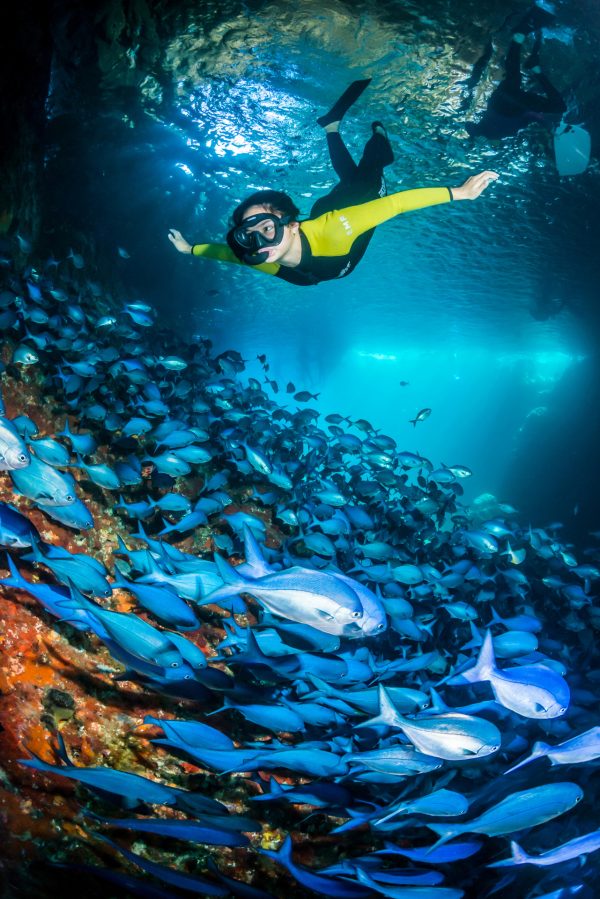 A Perfect Weekend - Snorkelling, Kayaking, Exploring Adventure - December 3rd/4th 2022 FULLY BOOKED