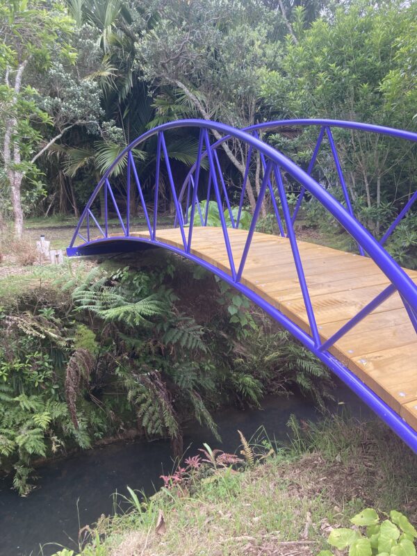 Great Barrier Island Garden Tours Nov 28th-30th 2025