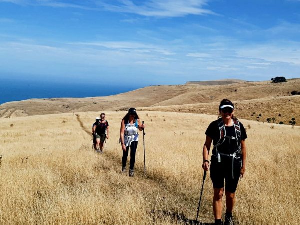 Banks Track - Akaroa April 7th - 11th 2022 FULLY BOOKED