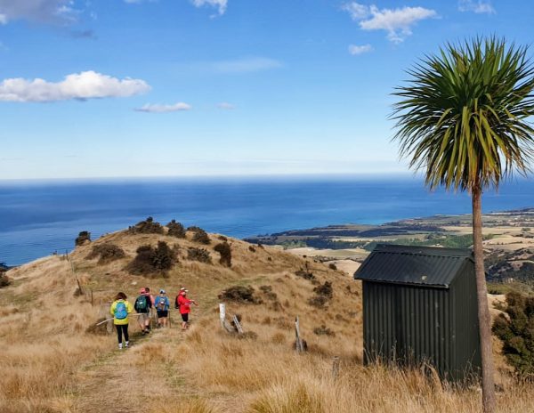 Kaikoura Coastal Track and Hanmer Springs March 13th - 18th 2022 FULLY BOOKED