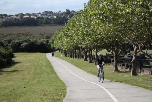 North Auckland Cycle Trail Oct 23 2021