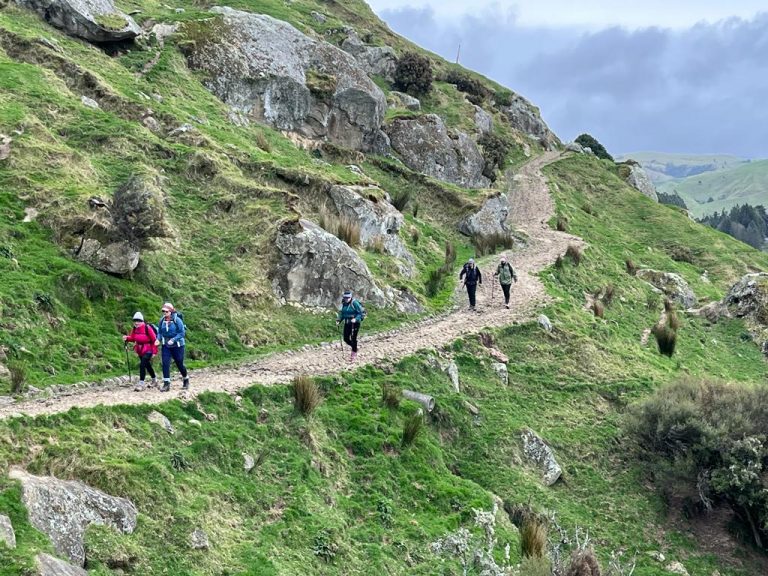 Haurata High Country Station Walks – August 2022