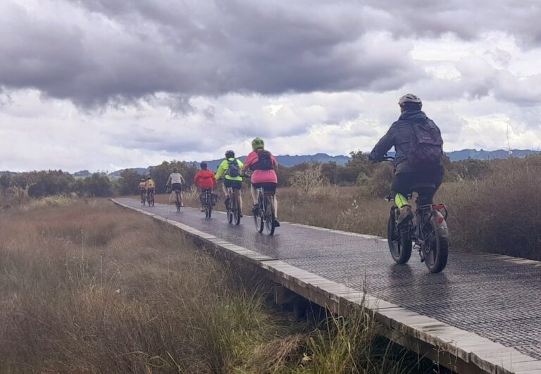 Twin Coast Cycle Trail – Dec 2022