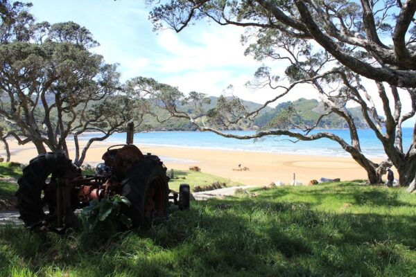 Great Barrier Island Garden Tours Nov 24th to 26th 2023 FULLY BOOKED