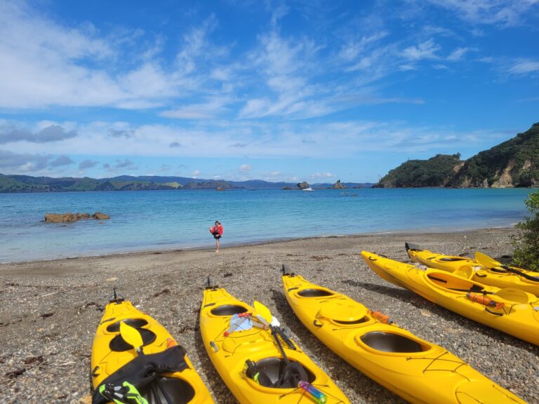 Kayaking the Cavalli Islands – Feb 2023