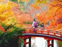 Japan Oct 31st to Nov 20th 2026