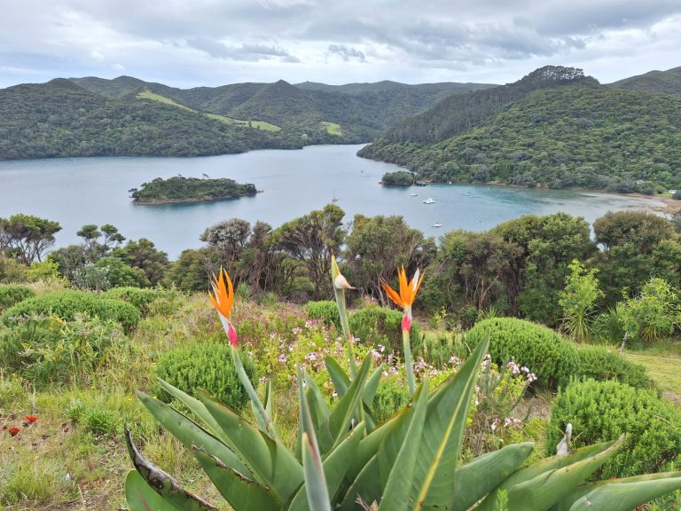 Great Barrier Island Garden Tours Nov 2023