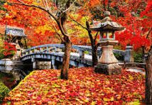 Japan Oct 31st to Nov 20th 2026